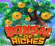 Bonsai of the Riches Bonsai of the Riches